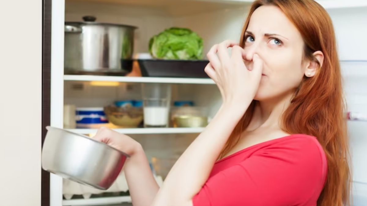kitchen clean monsoon