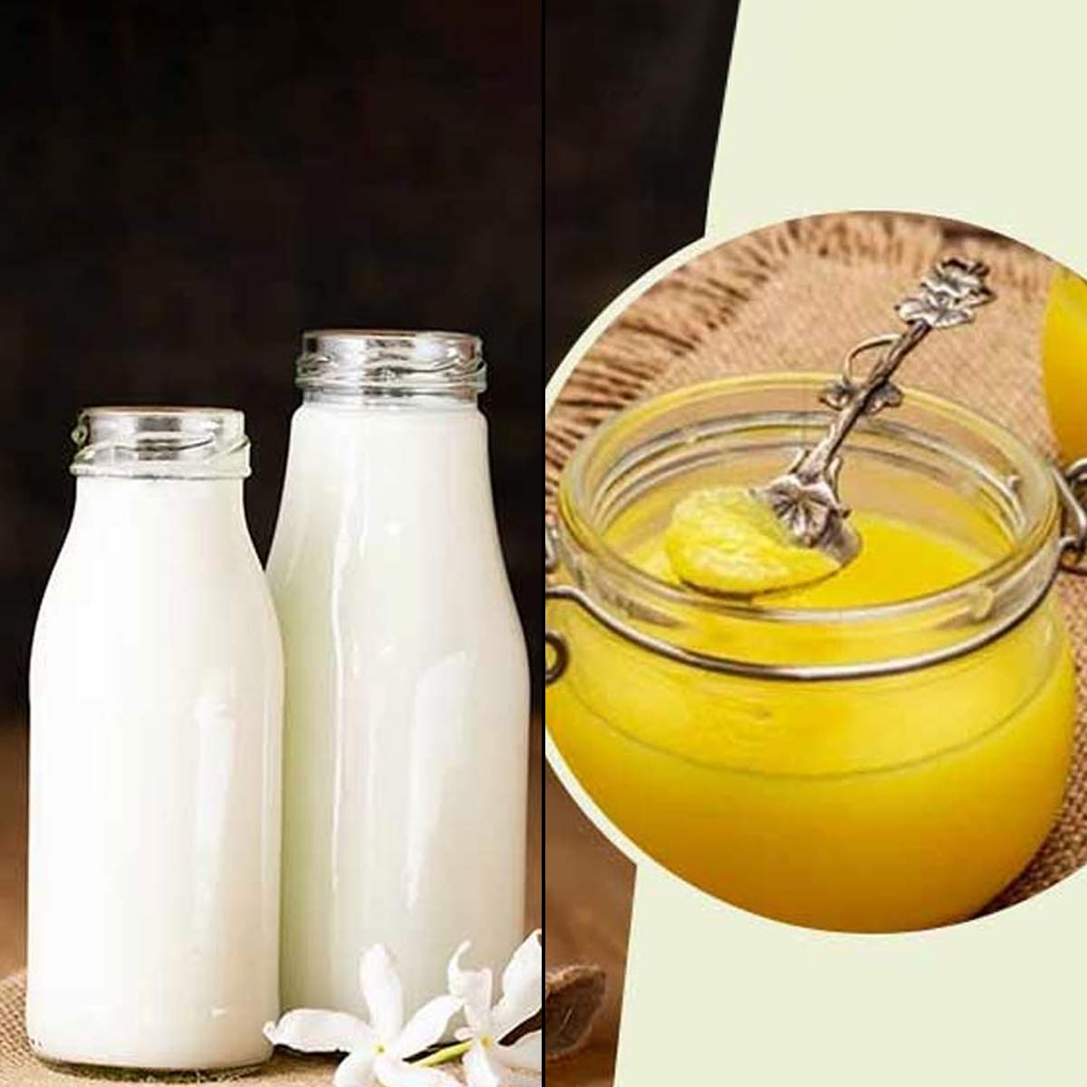 milk ghee for constipation