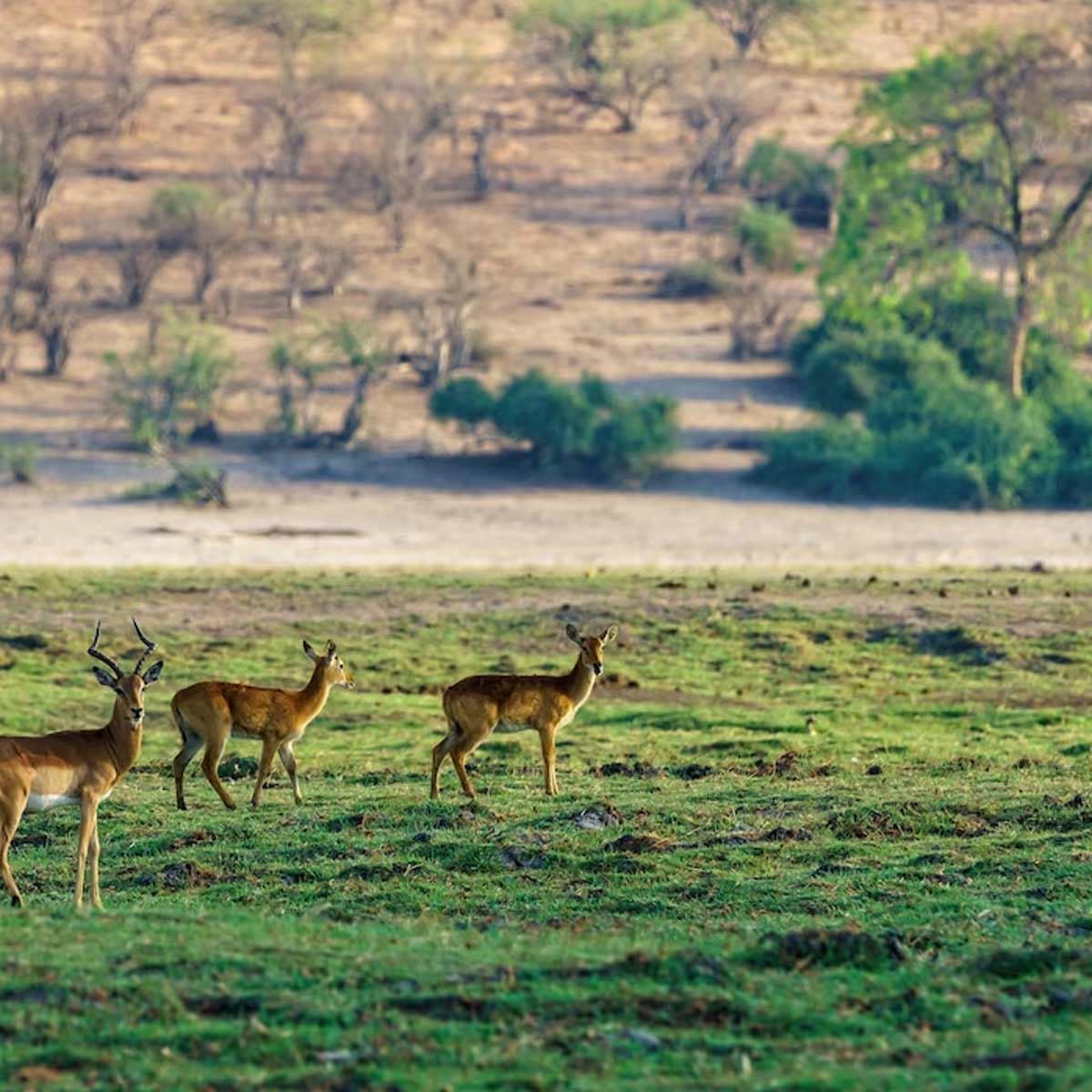 mp travel tips in hindi