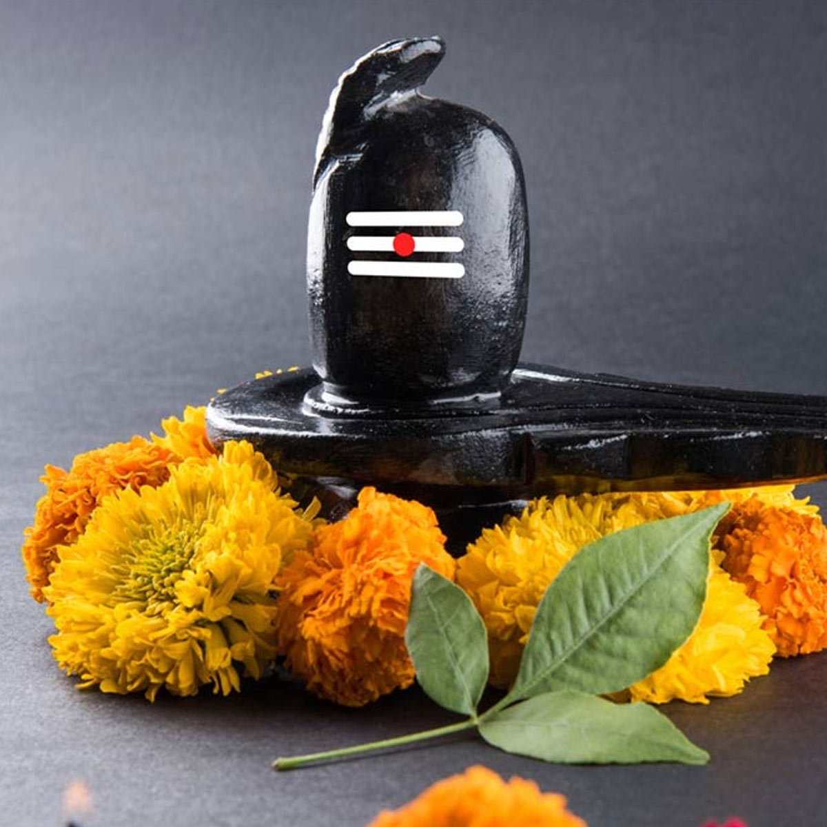 offering camphor to lord shiva