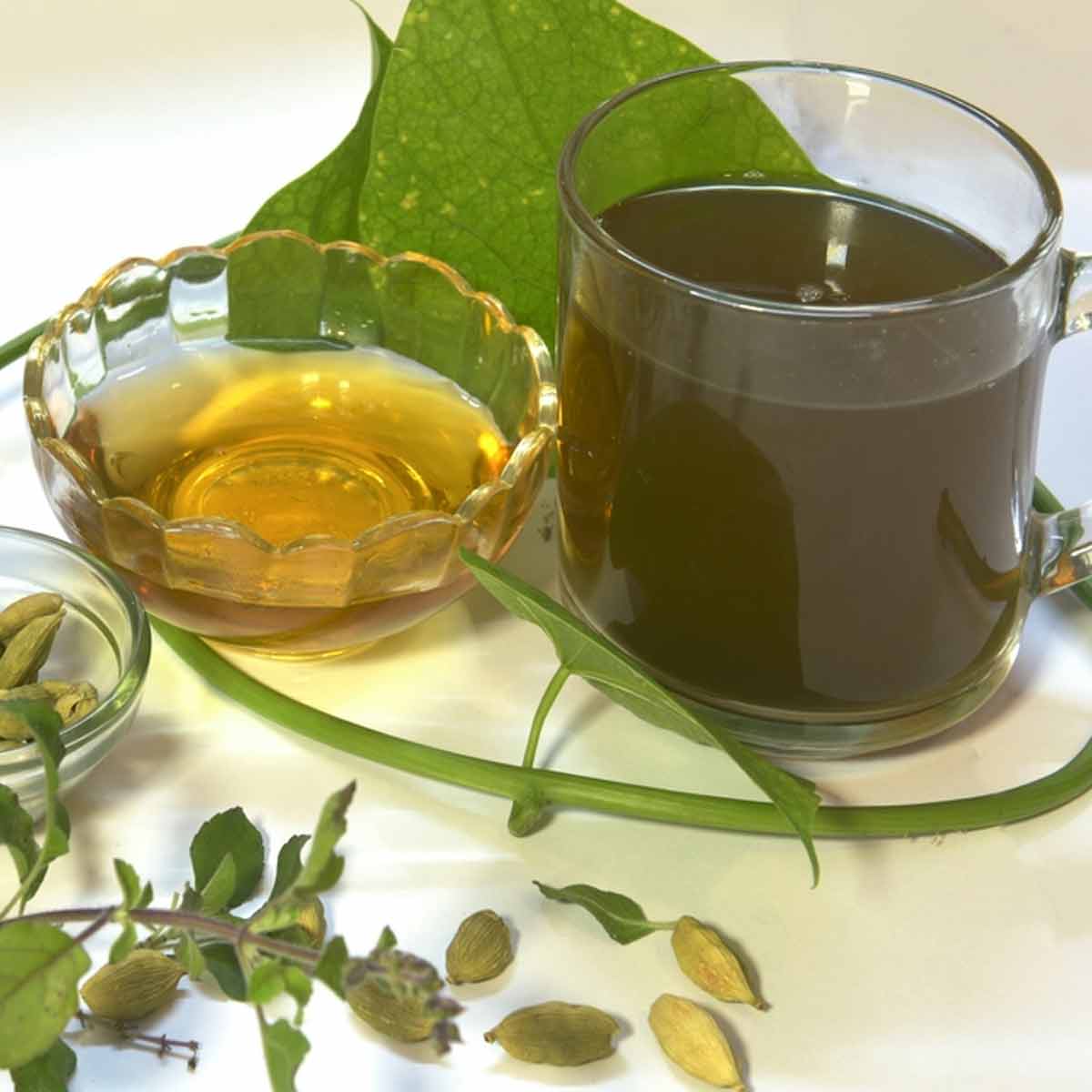 properties of giloy herb in ayurveda