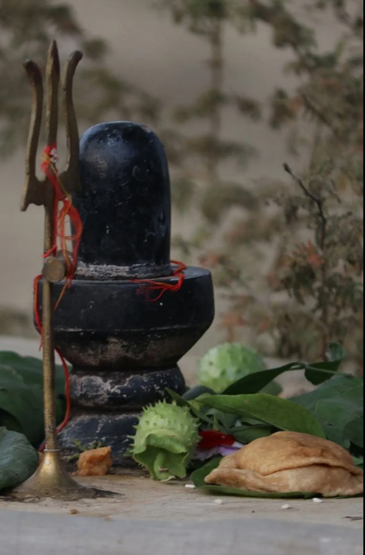 shukrawar ke din shiv ji ko kya chadhaye