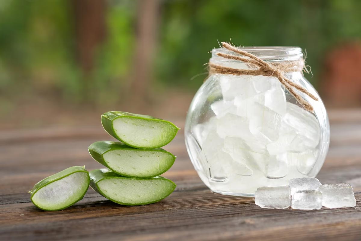 Alovera gel hair care tips