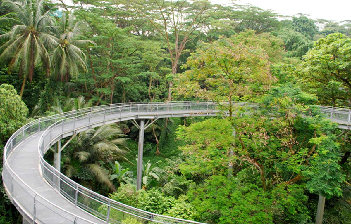 Southern Ridge Forest