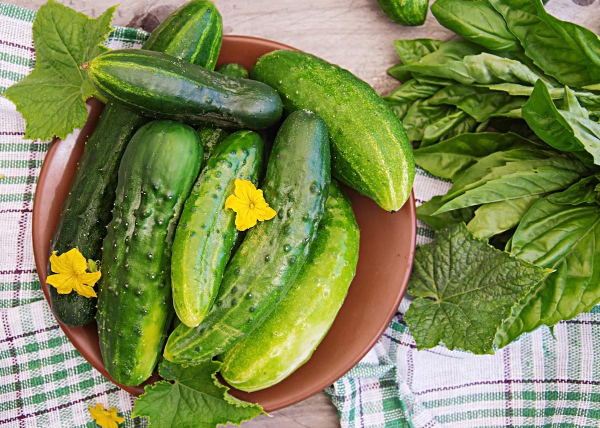 benefits of eating cucumber