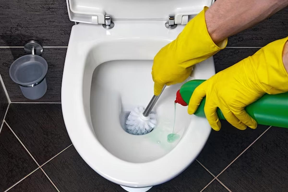 home made toilet bowl cleaner