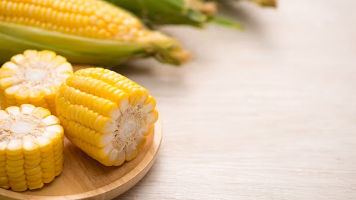 how to choose fresh corn in hindi