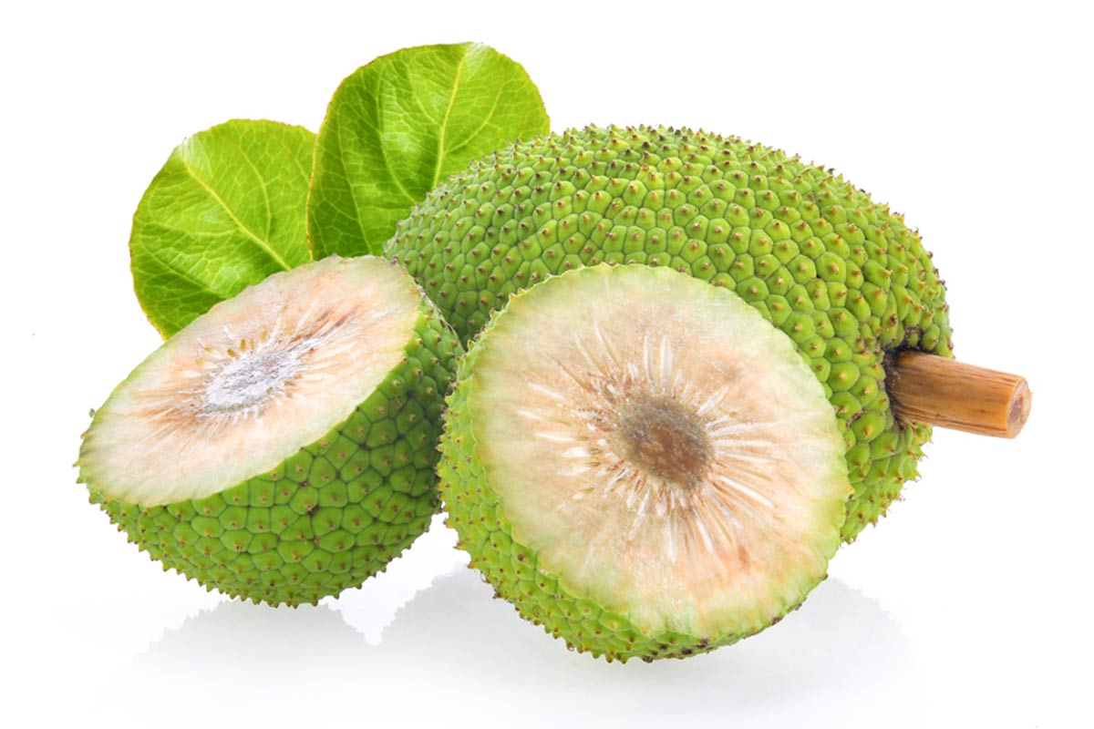 how to cook breadfruit