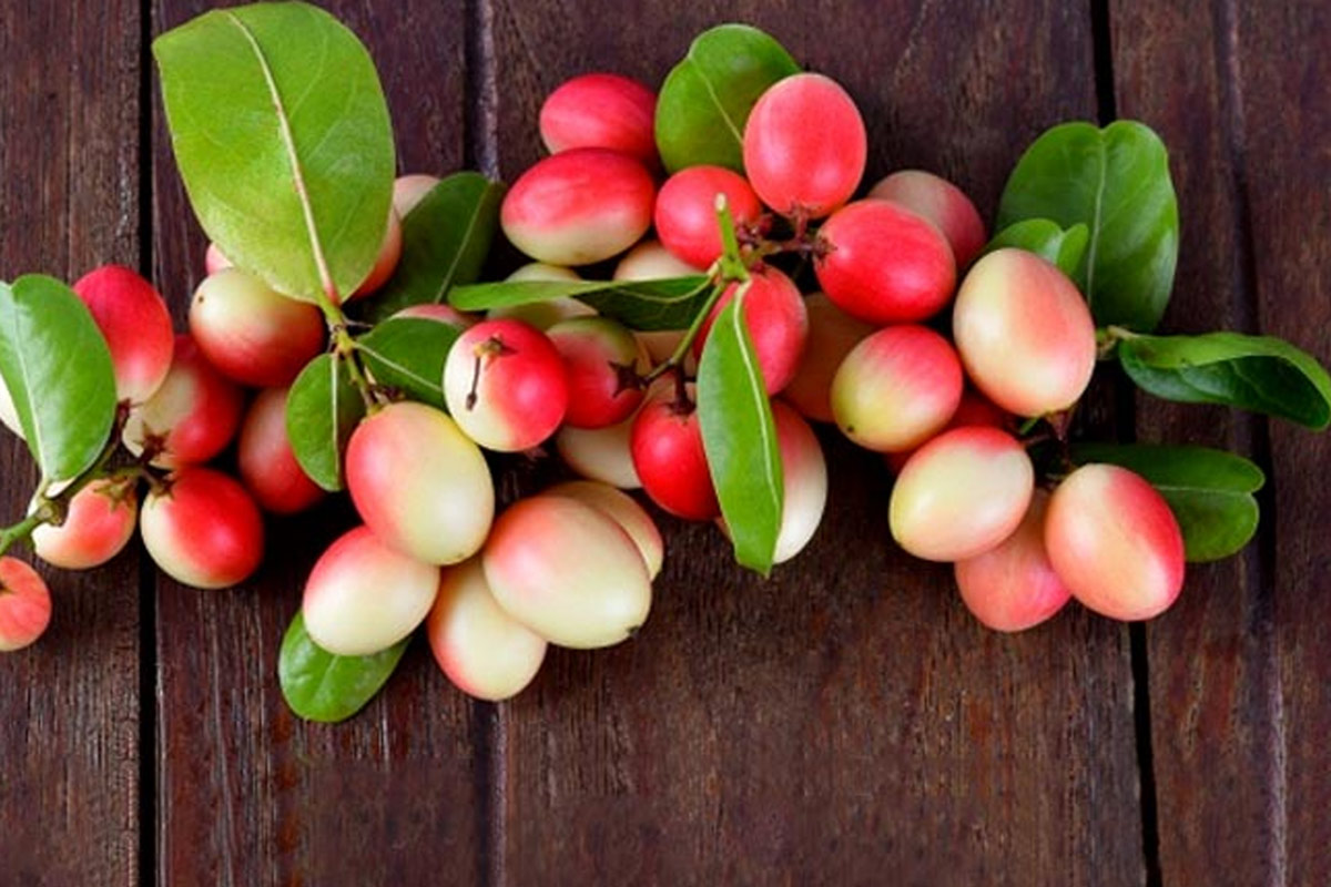 karonda fruit benefits