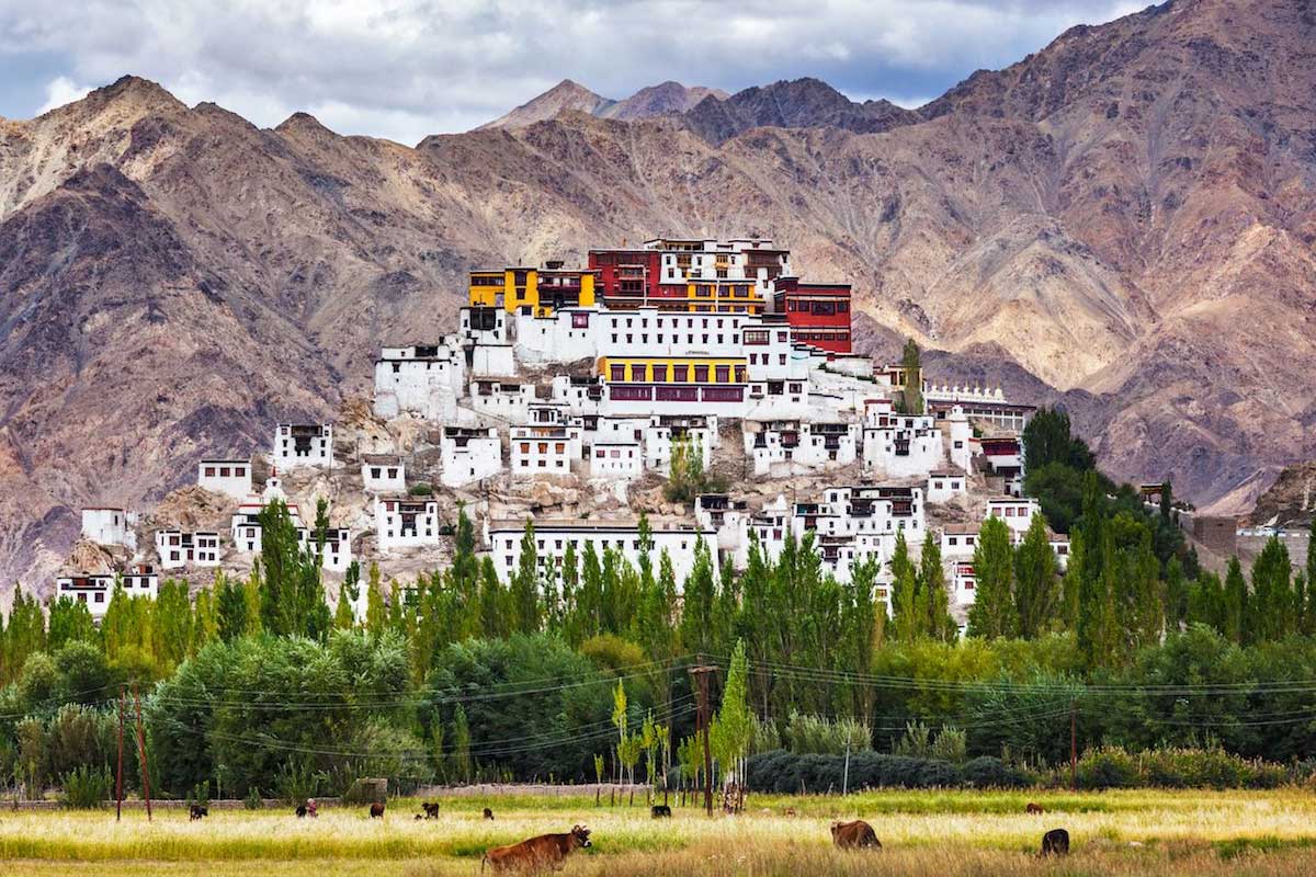 monastery buddha statue in ladakh
