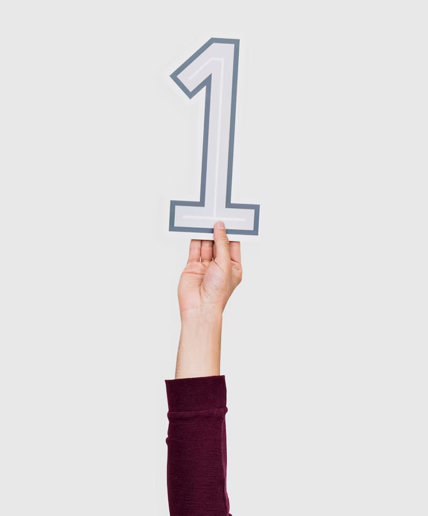 numerology predition life