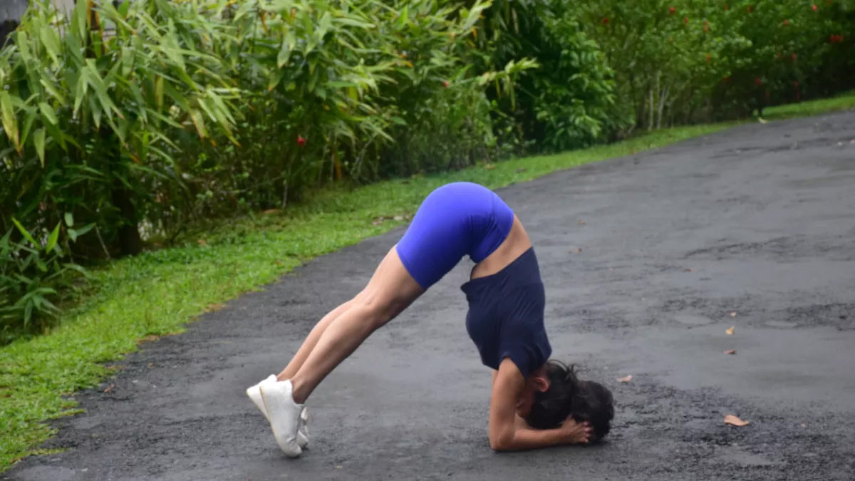 Ardha Pincha mayurasana
