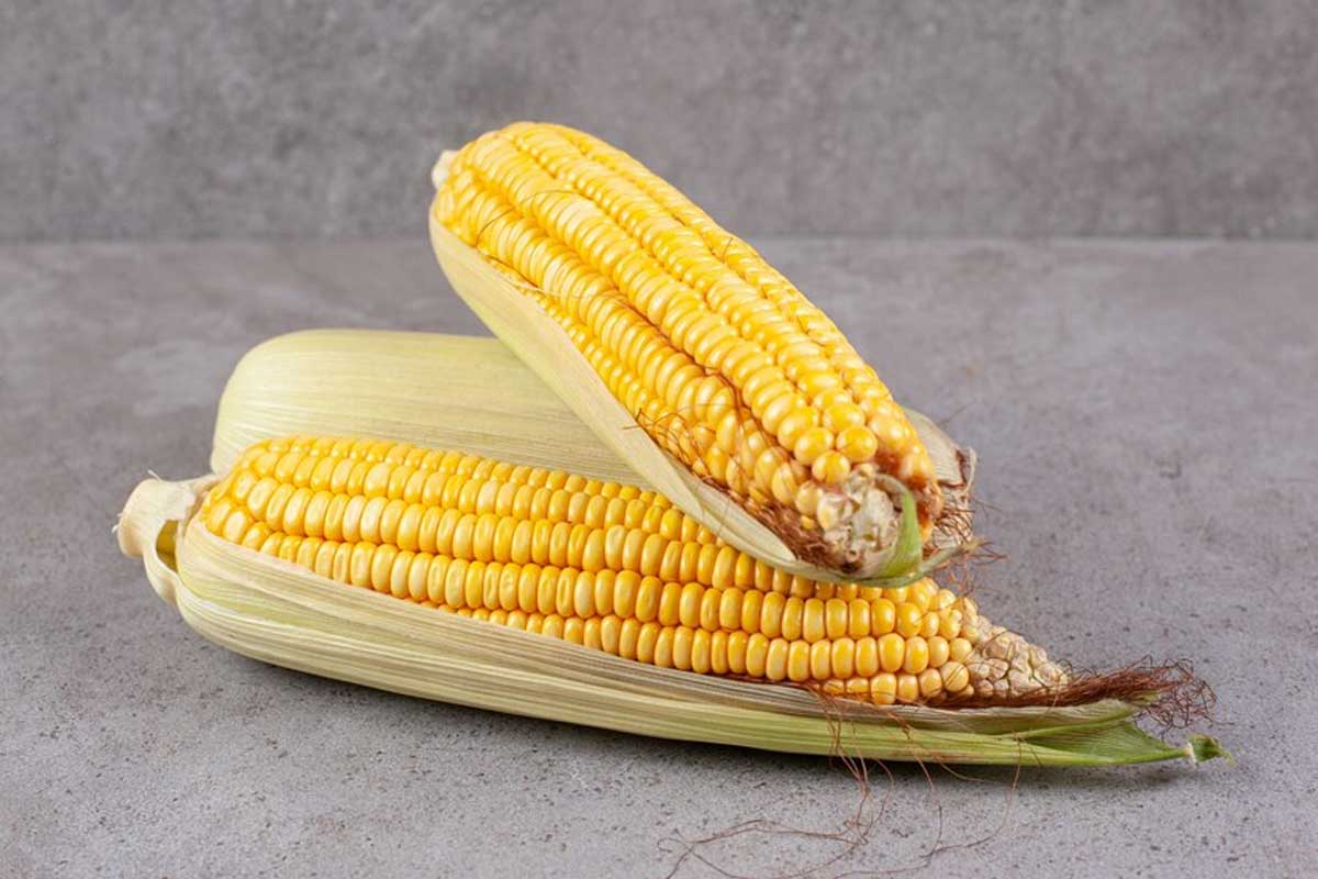 How To Pick Good Sweet Corn