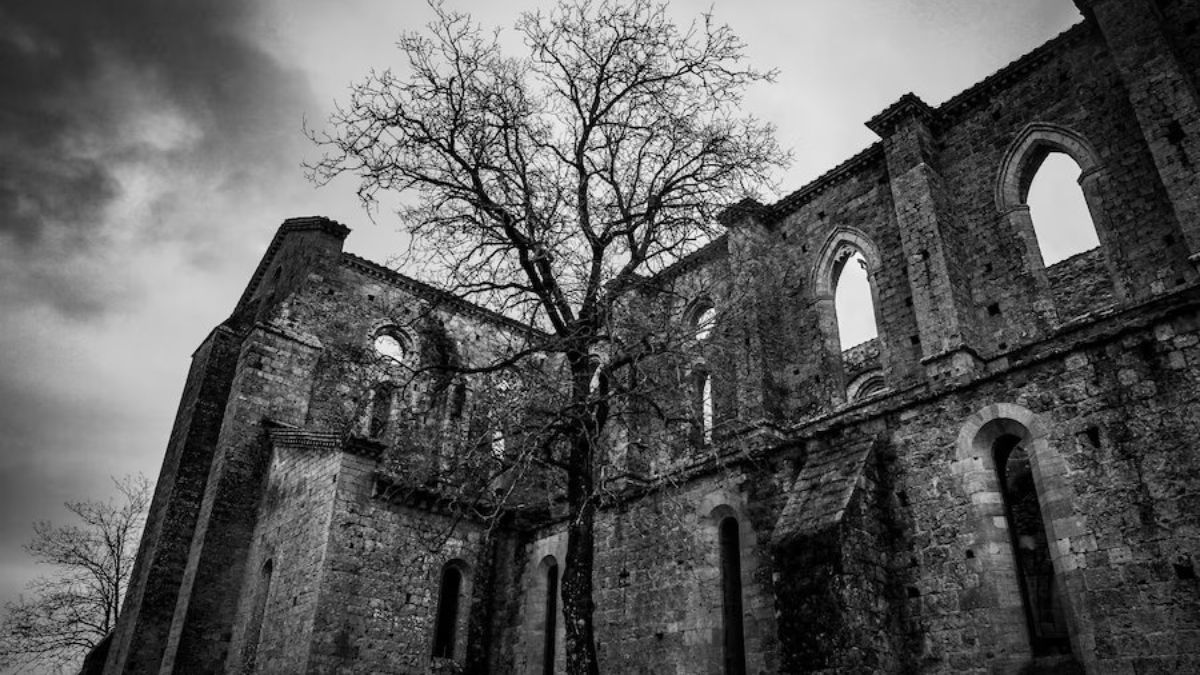 chennai demandy colony