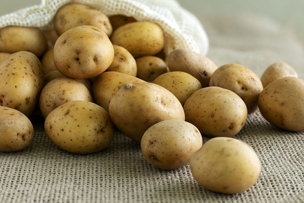 know how to prevent potatoes from sprouting in summer