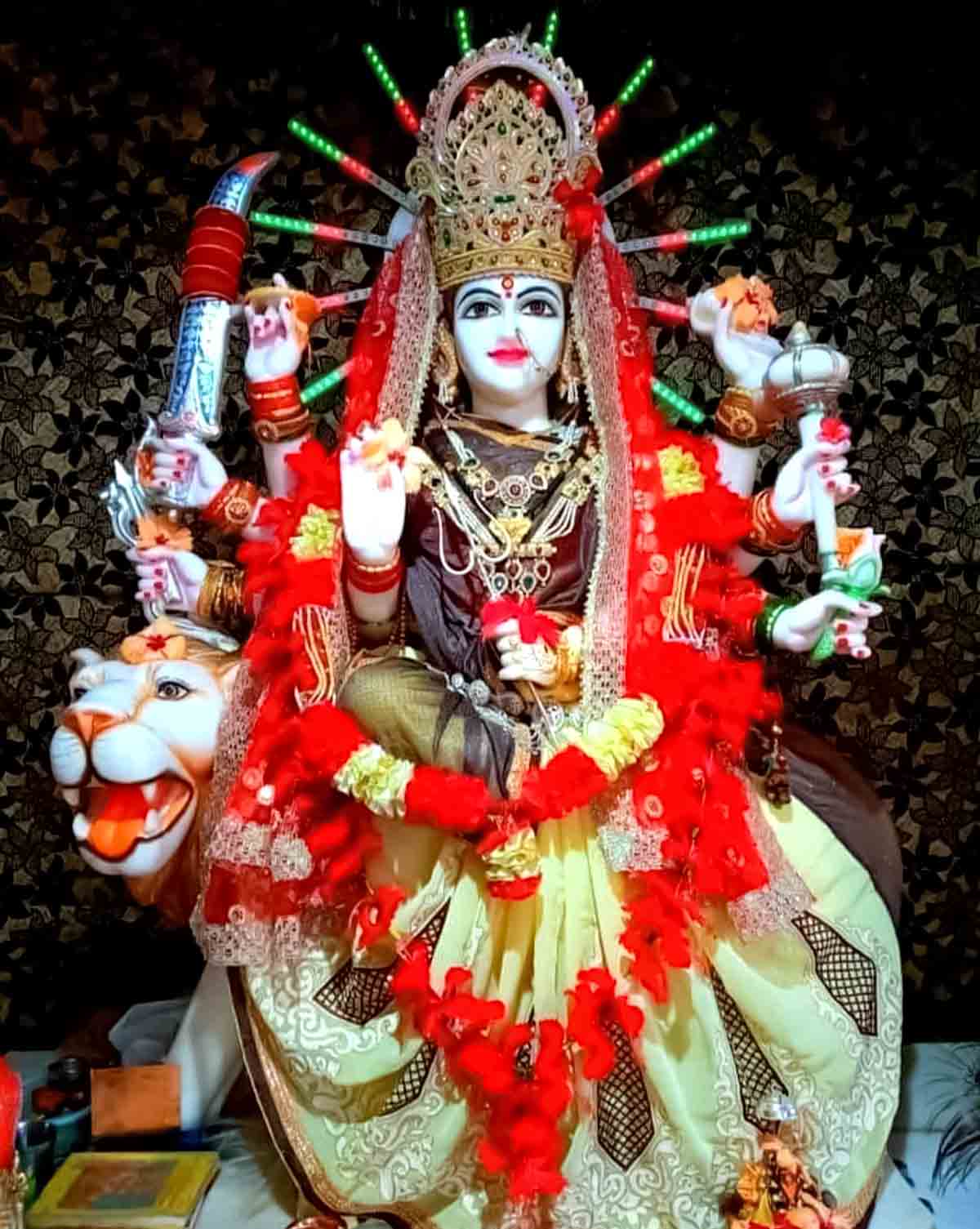 mata rani ke vehicle ka significance