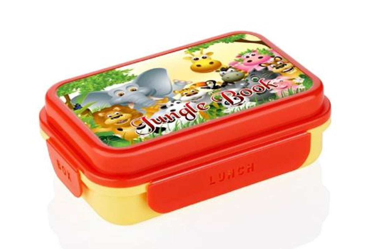 navratri lunch box