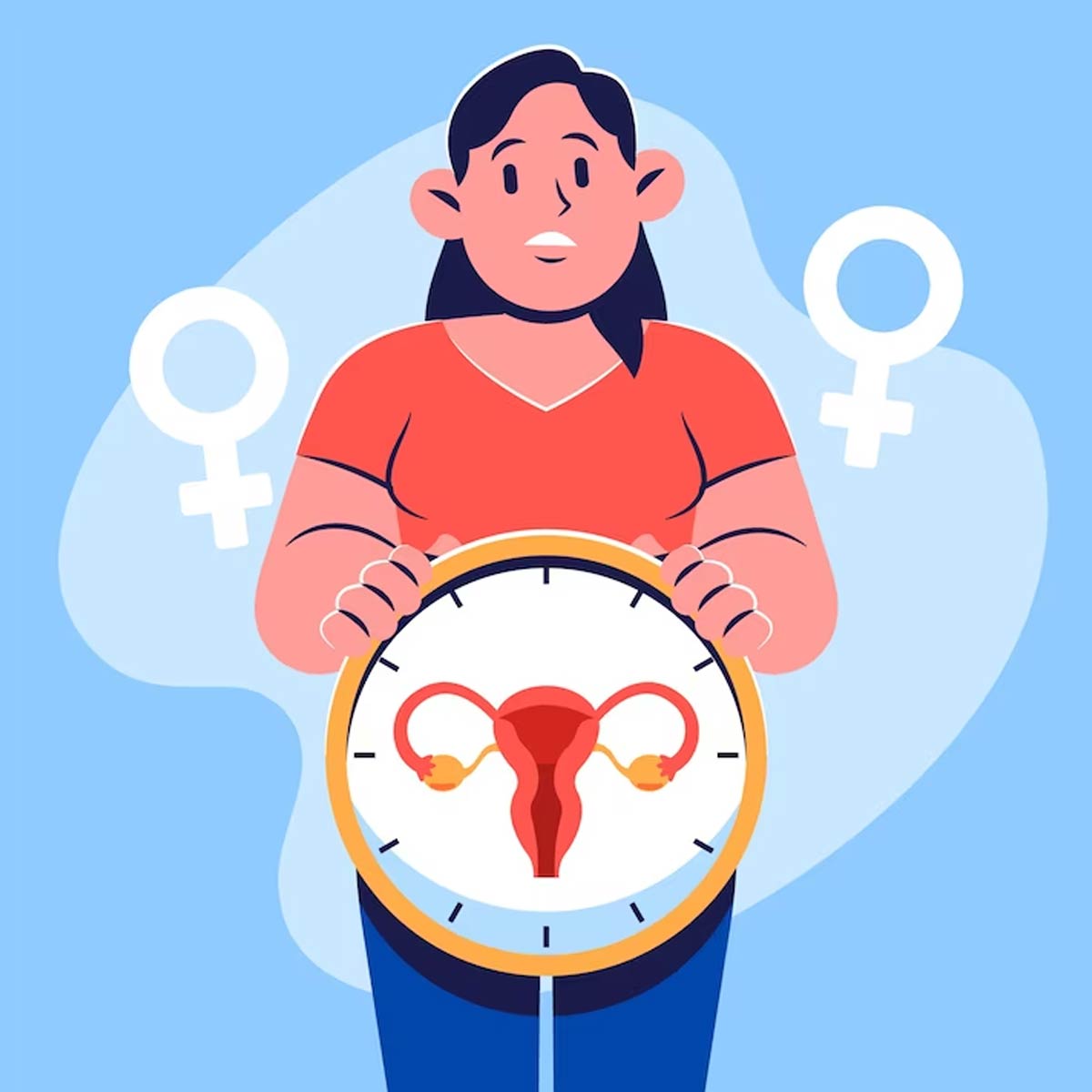 predict phase of menstrual cycle