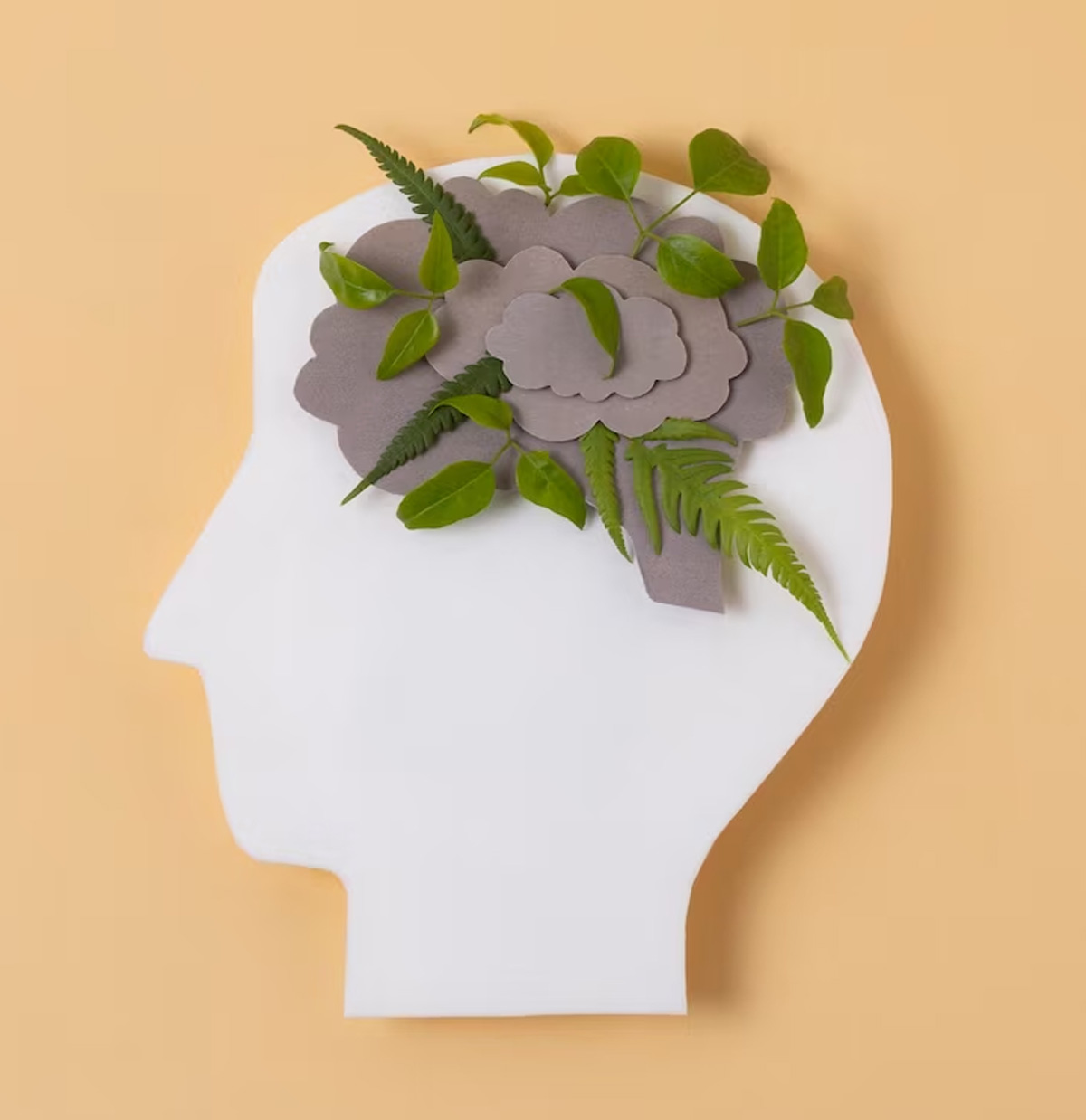 probiotic health benefits in tamil