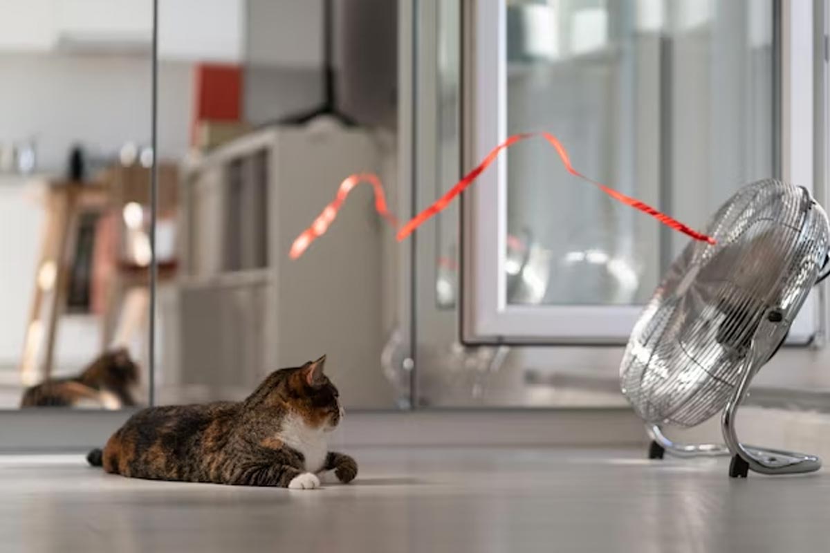 what is cross breeze