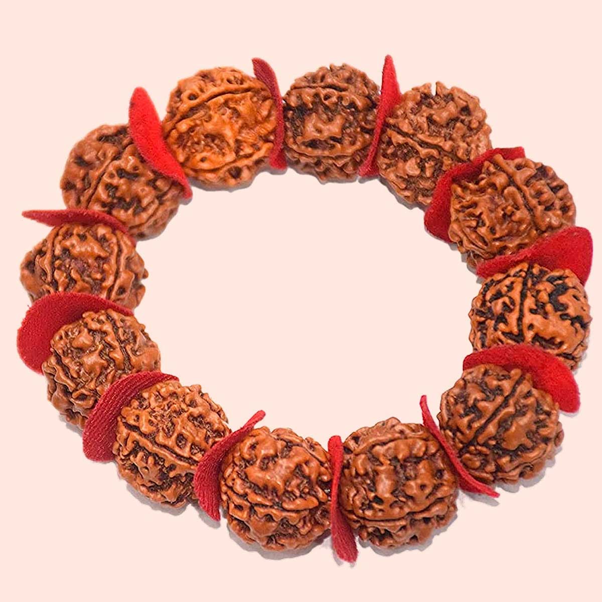 what is rudraksha in astrology