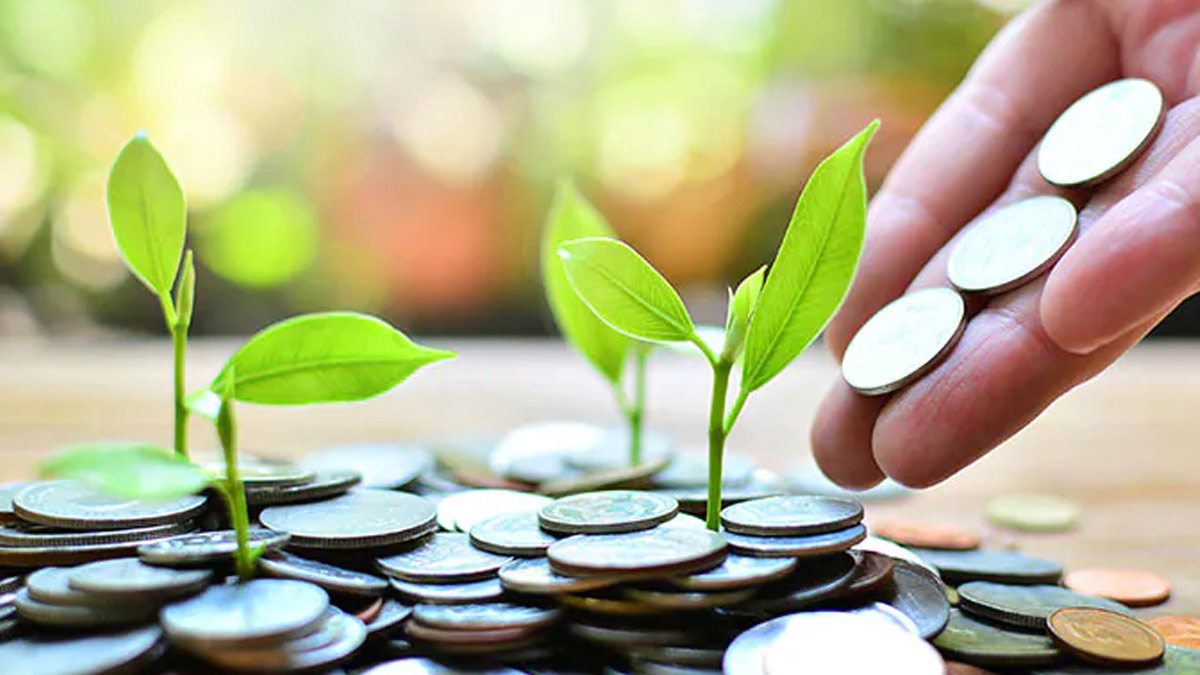 women and investment