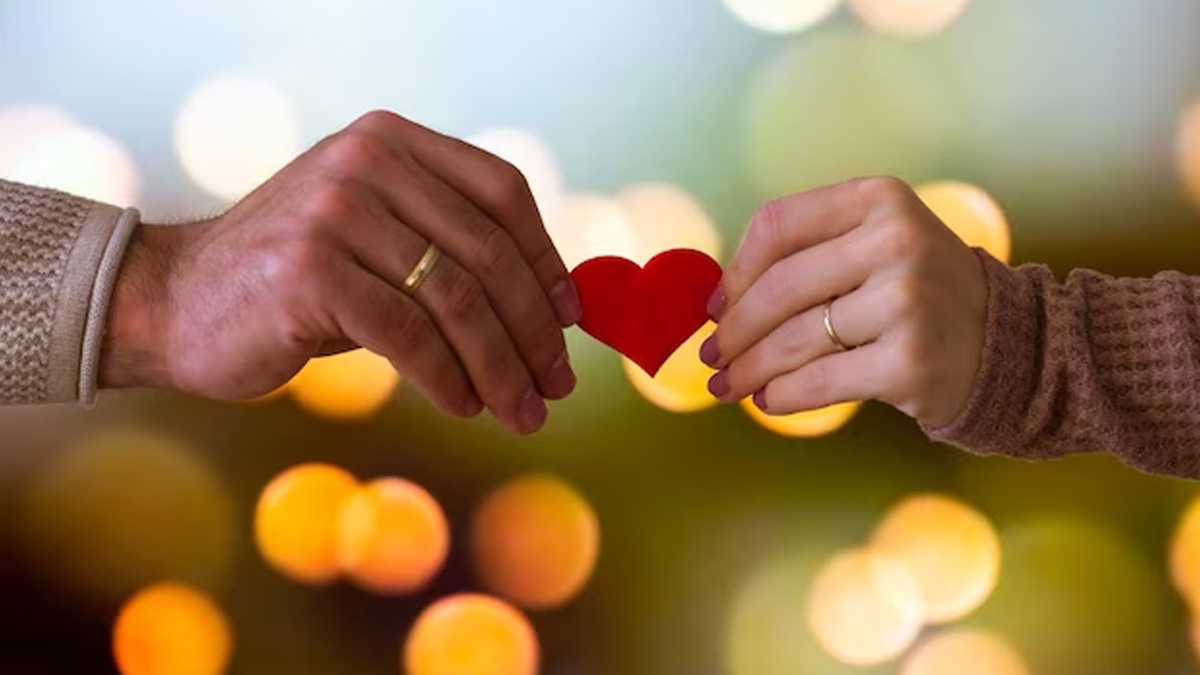 Leo And Virgo Compatibility as Partner