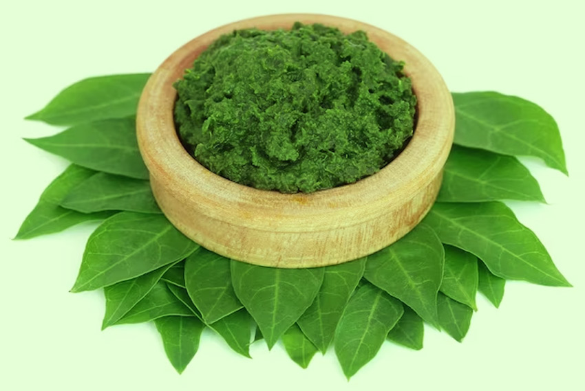 henna leaves benefits for hair