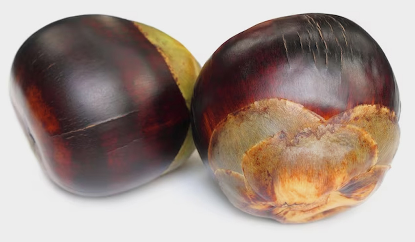 ice apple summer recipes