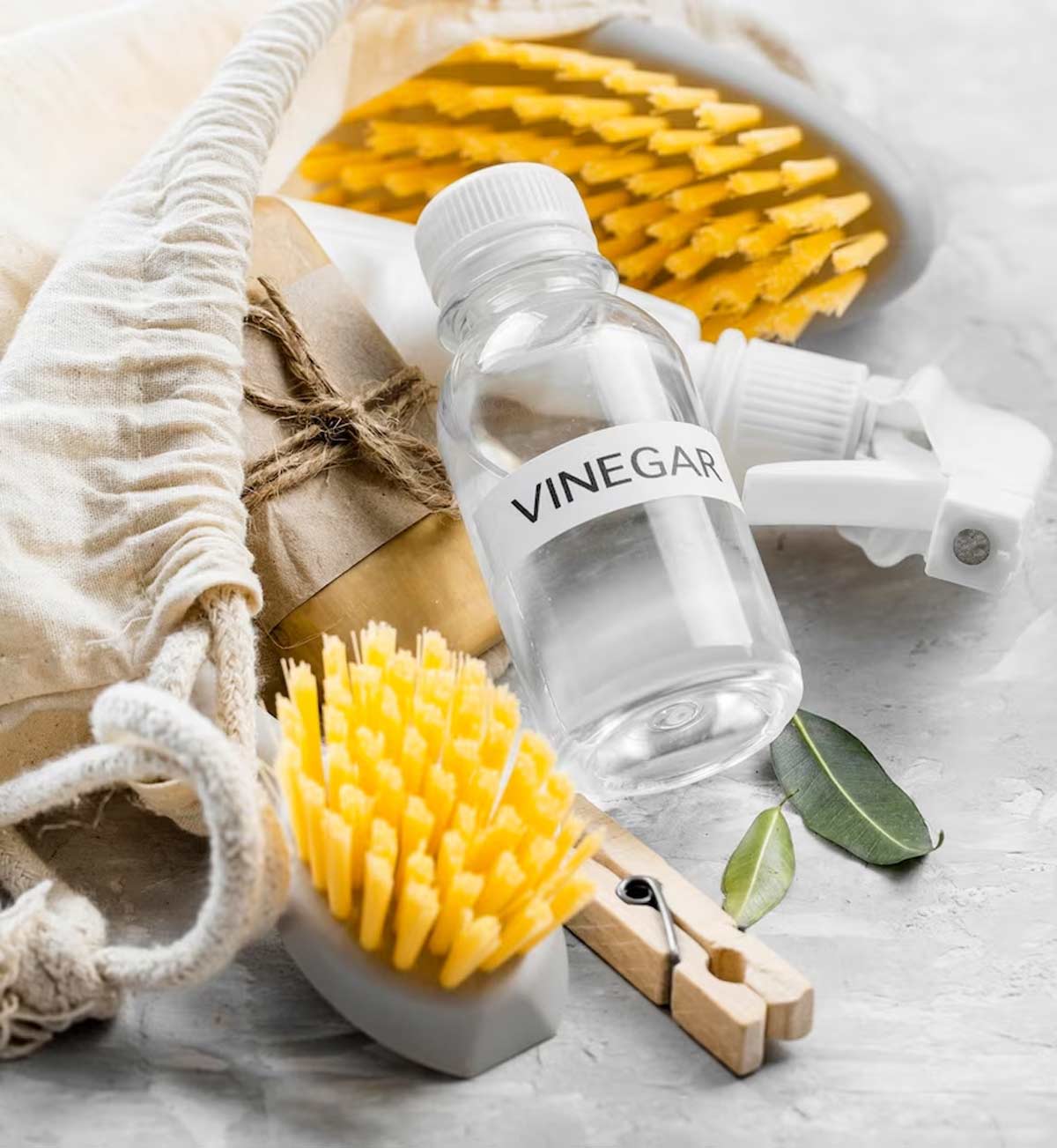 spider repellent spray