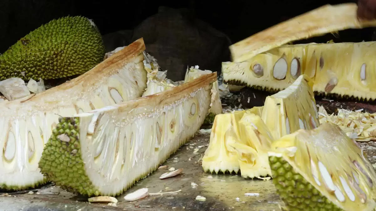 tip to use jackfruit peel for fertiliser