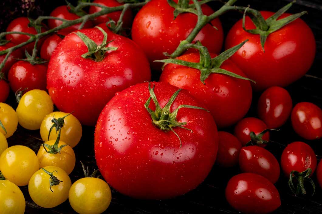 popular types of tomatoes