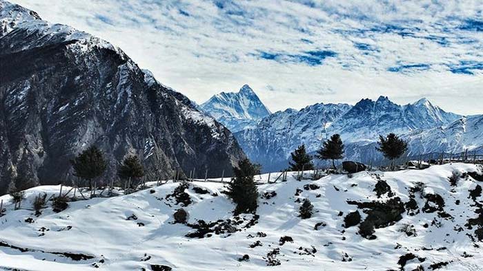 Auli travel