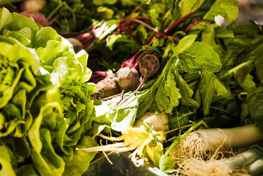 Garden tips for women