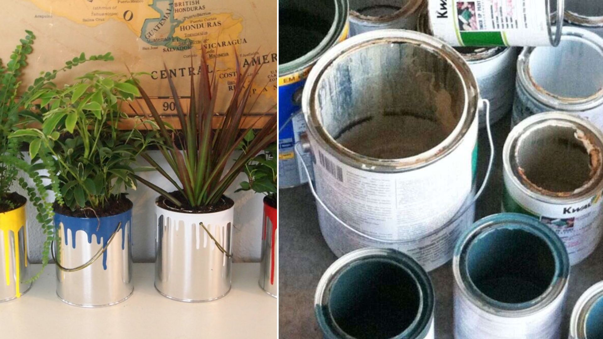 How To Reuse Old Paint Buckets At Home FOR FLOWER POT
