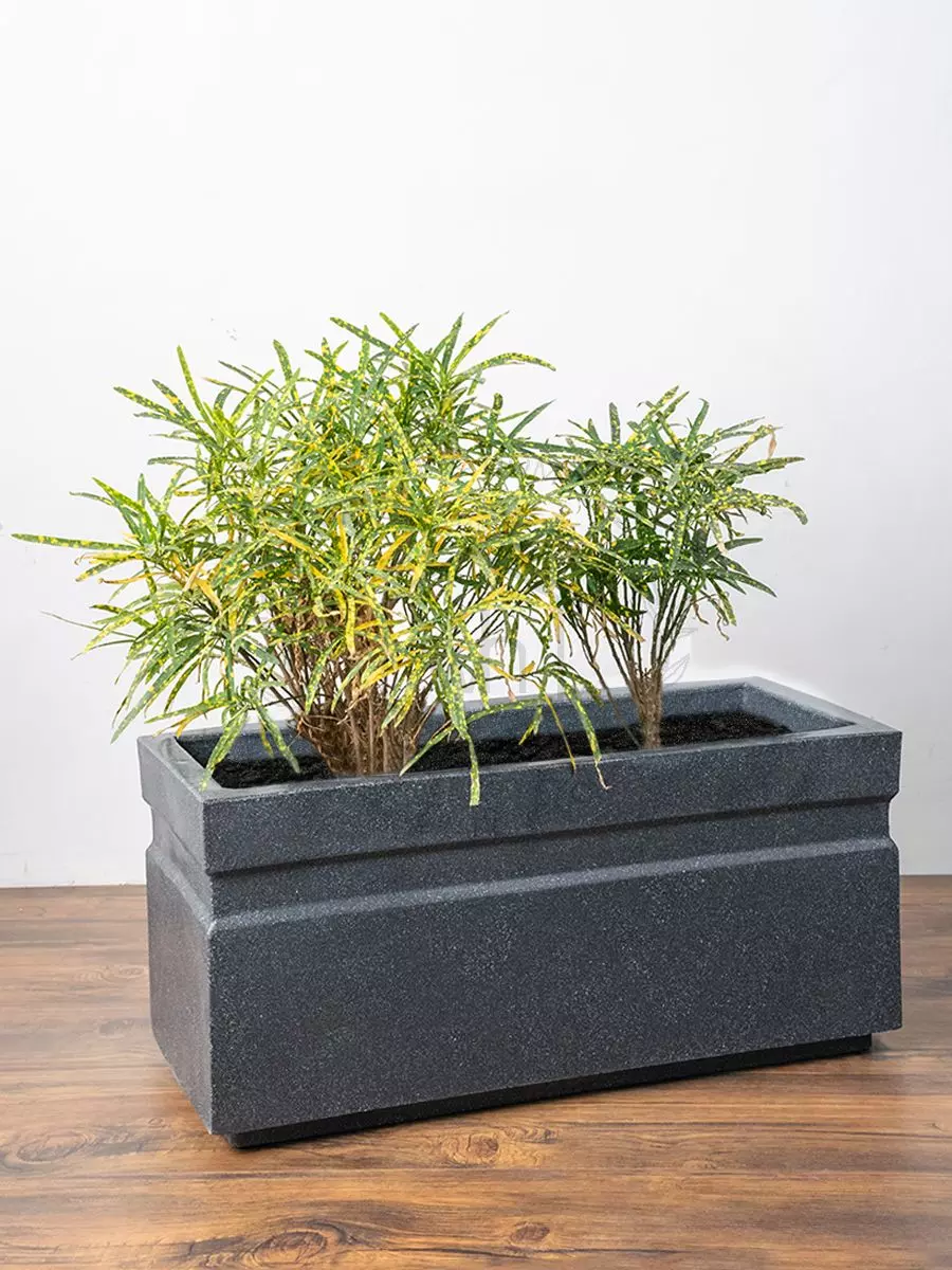 Plastic Empty Box Reuse