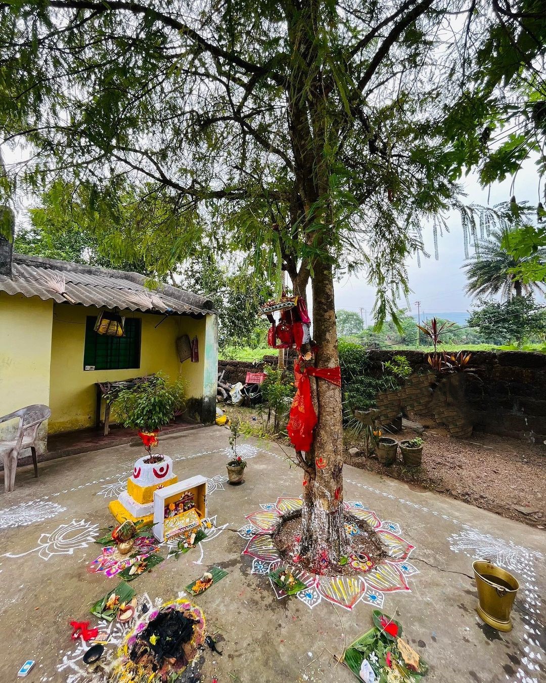 amla ped ki puja ke mantra