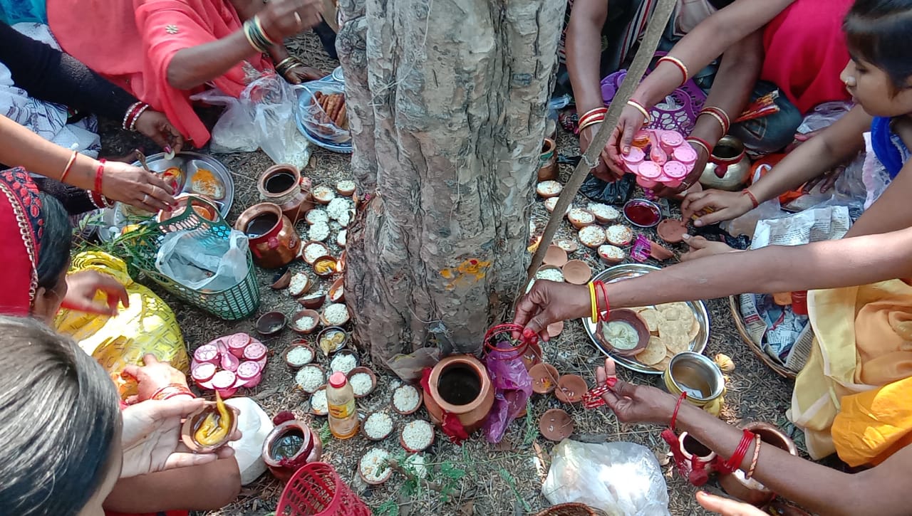 amle ke ped ki puja ke mantra