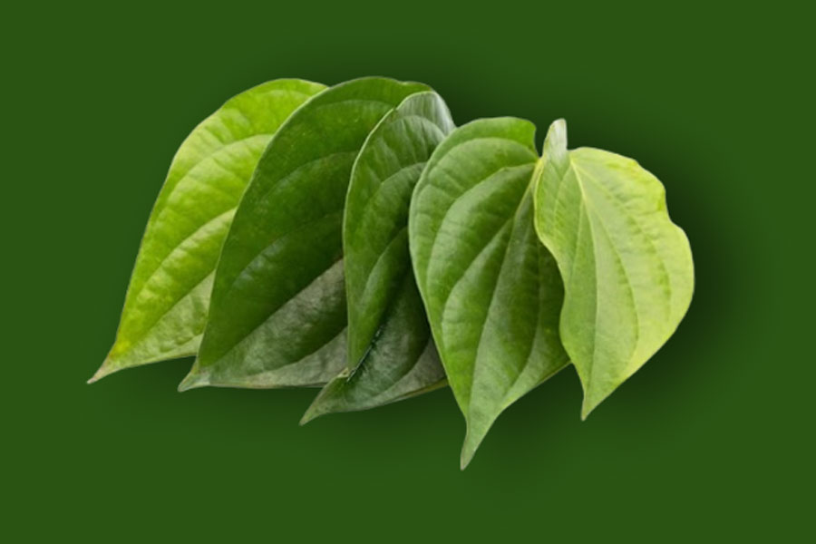 betal leaves in puja benefits