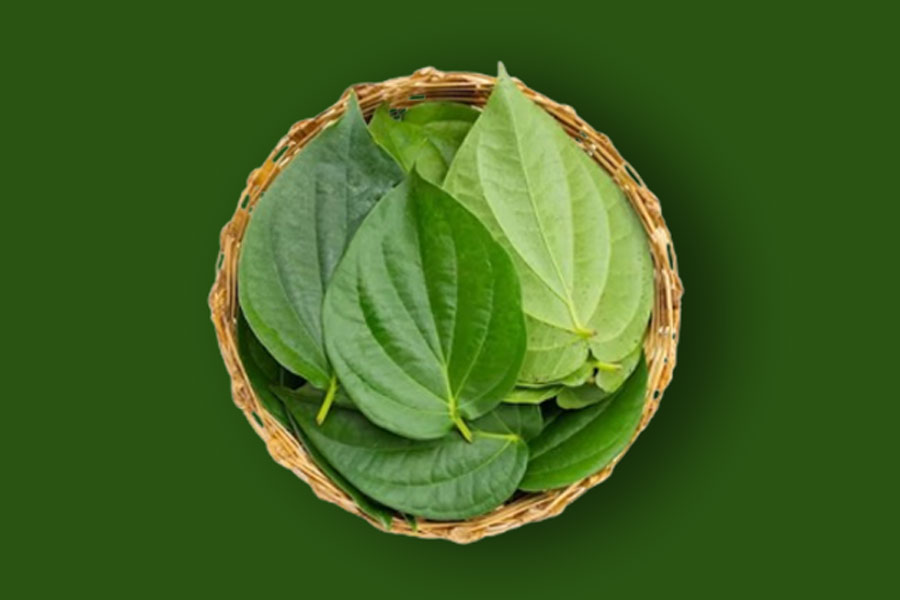 betal leaves in puja significance