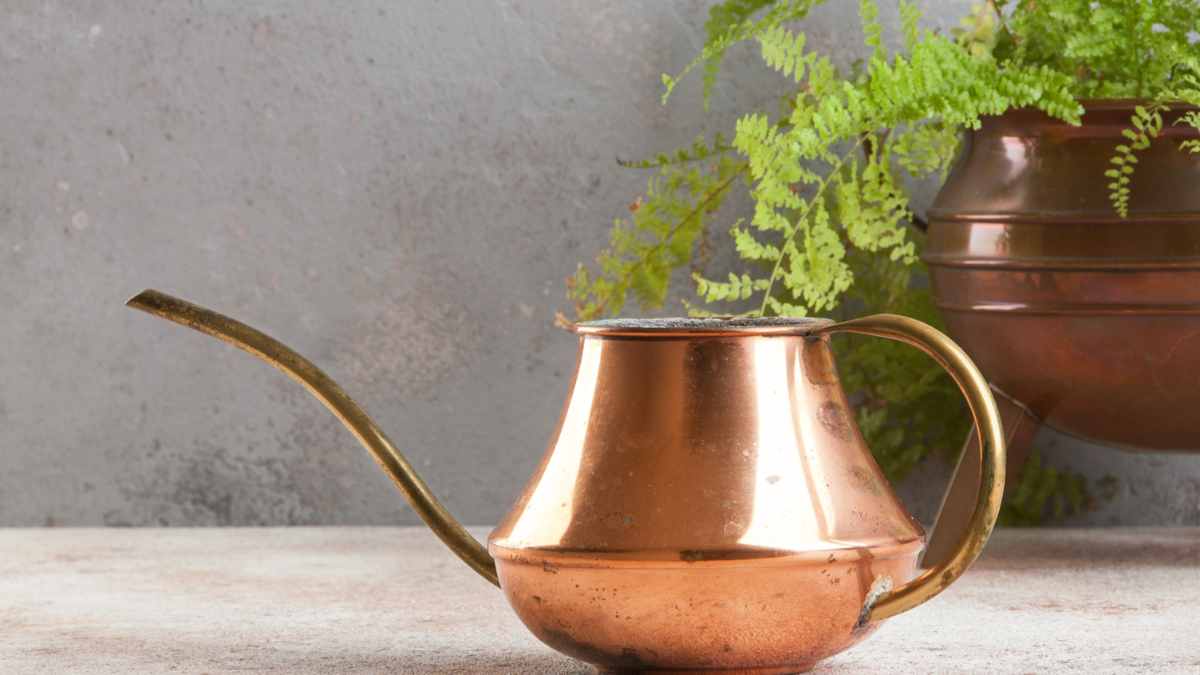 copper pot water tulsi