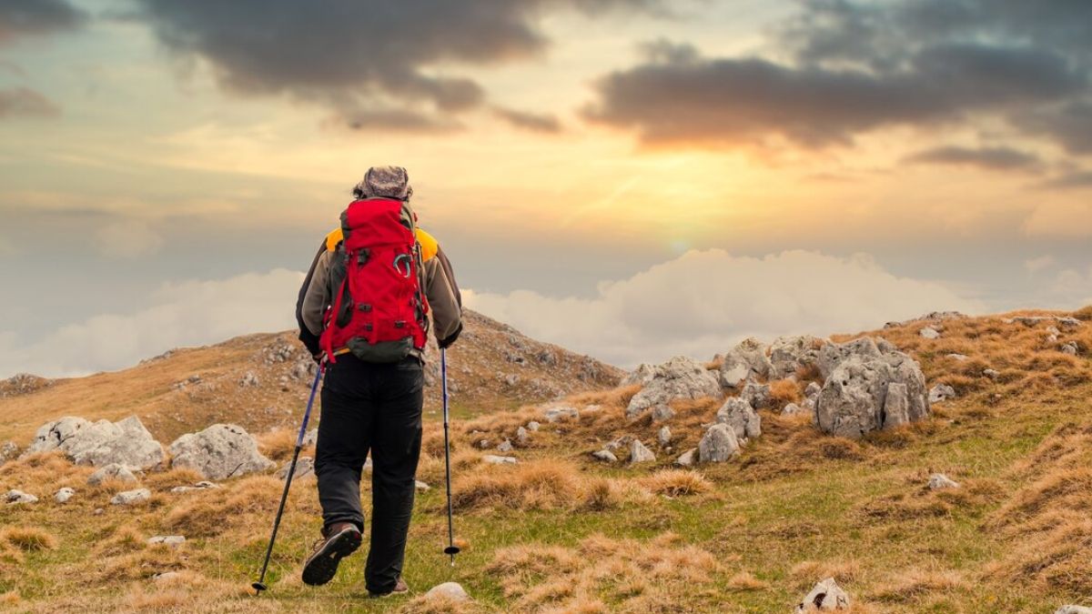 difference of hiking and trekking