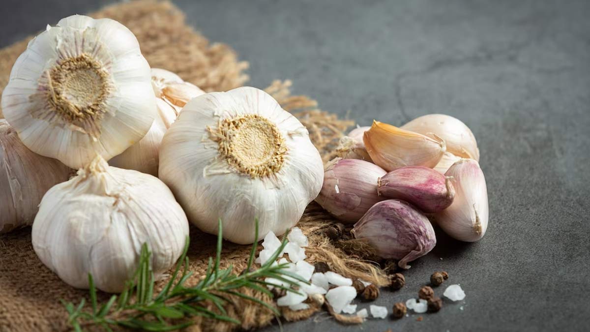 garlic benefits