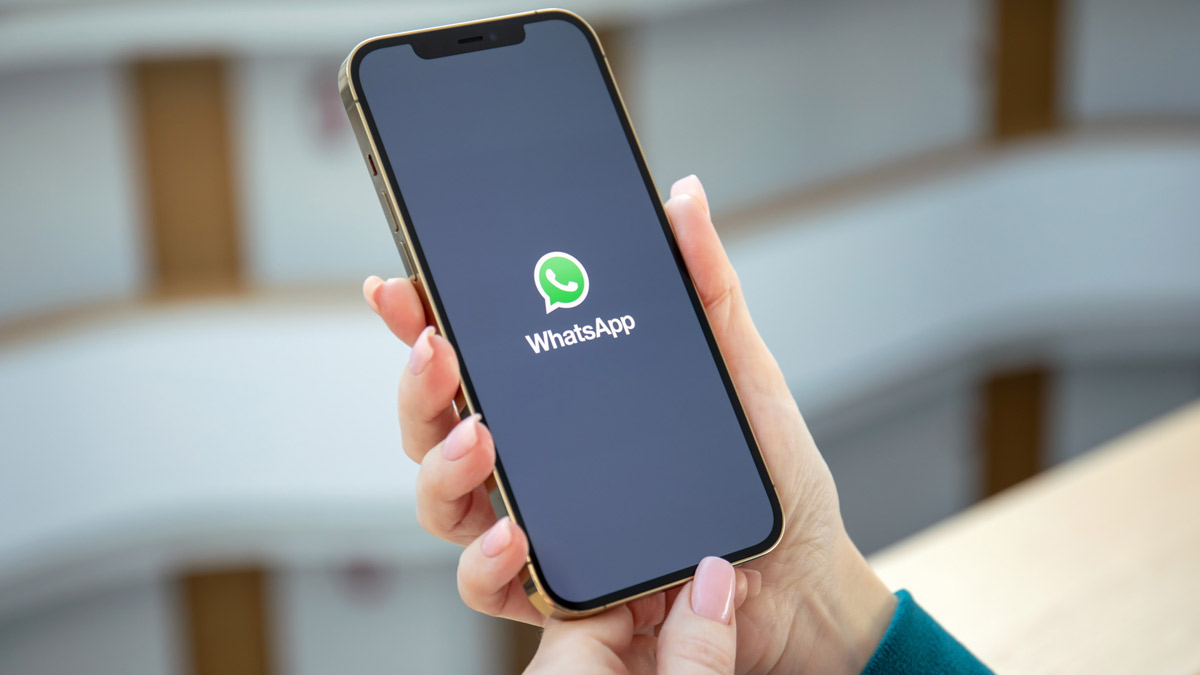 how can i download documents from whatsapp