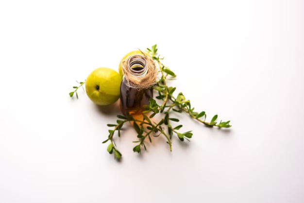 how to make amla oil at home