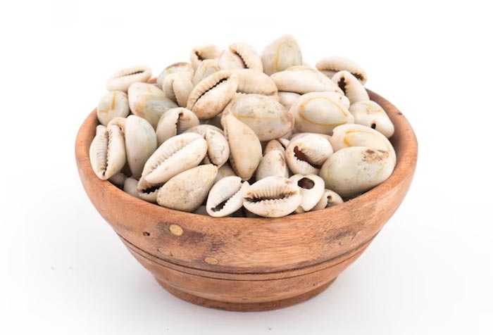 kaudi in diwali puja