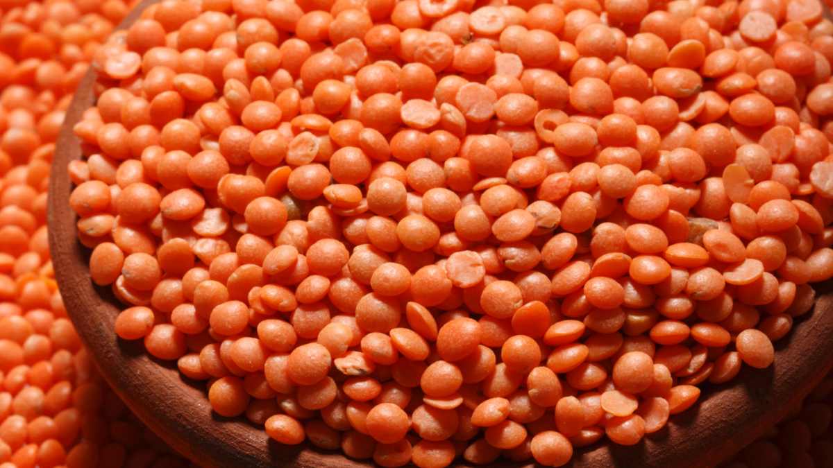 masoor lentils