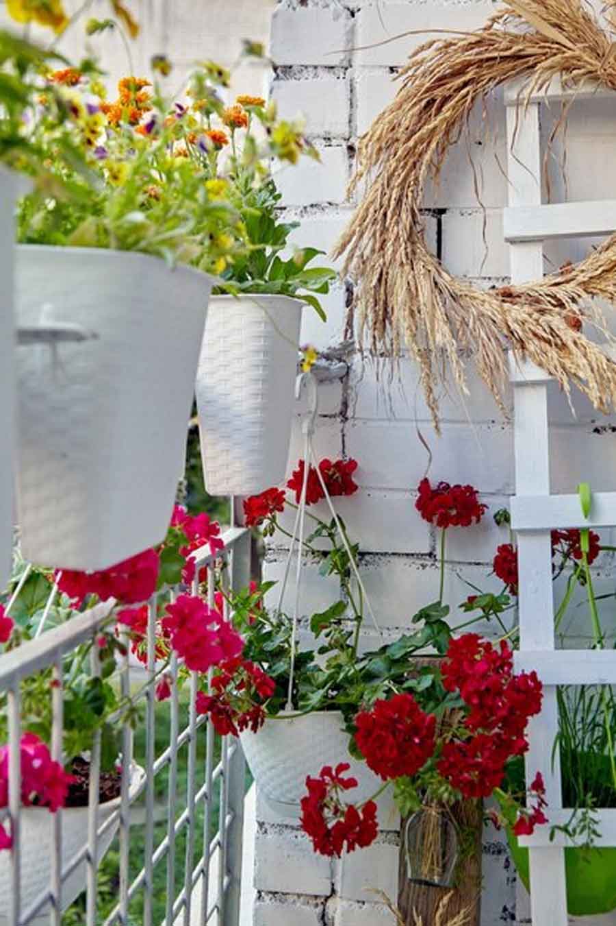 plants on balcony vastu