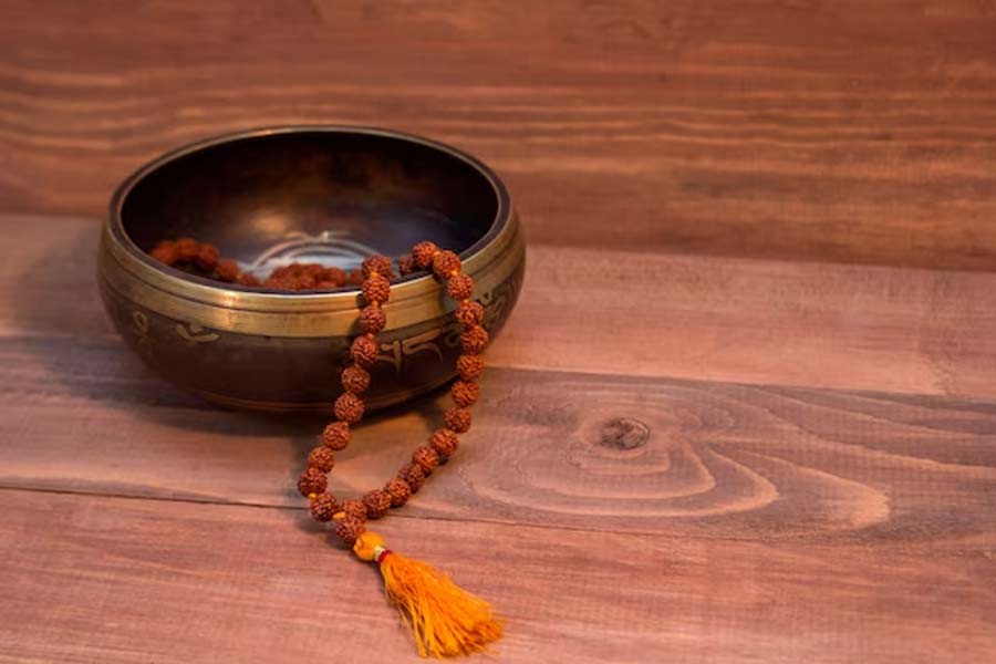 rudraksha sagittarius