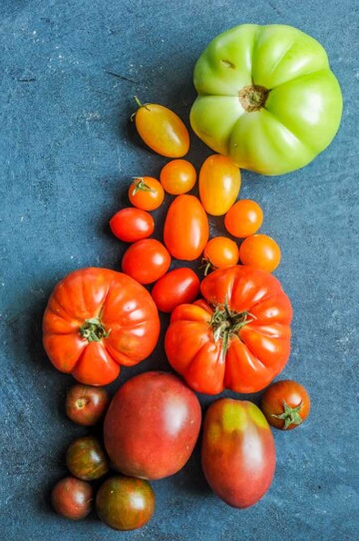 tomato varieties name